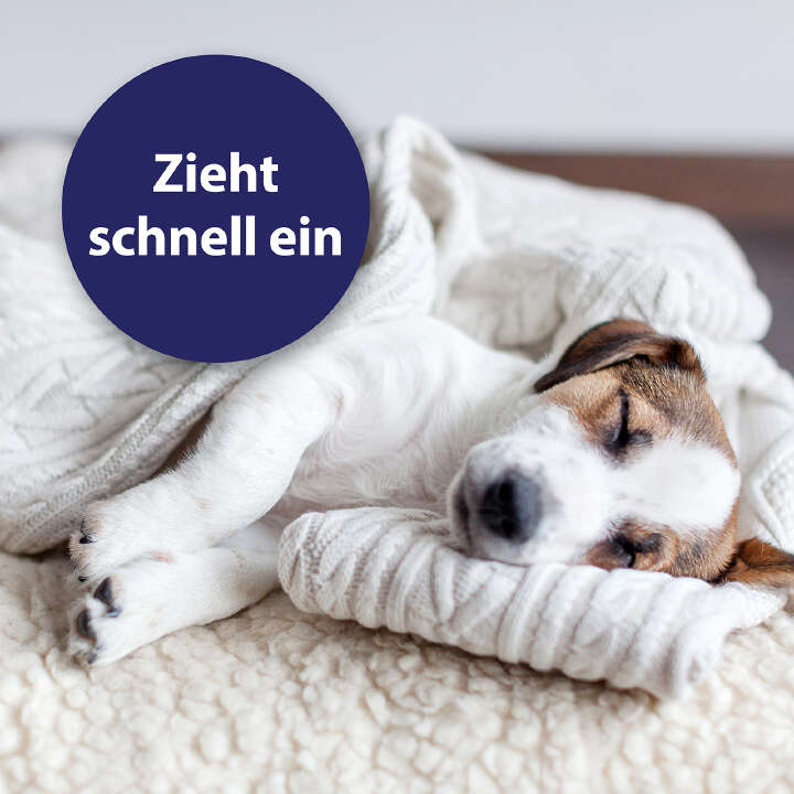 Canosept Pfotenpflege für Hunde 75 g